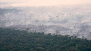 Экологи предупреждают о риске нового сезона пожаров в Амазонии
