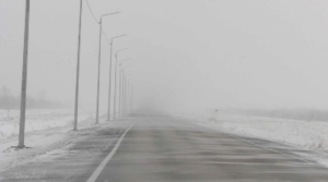 Сильный снег, морозы и ветер ожидаются на большей части Казахстана