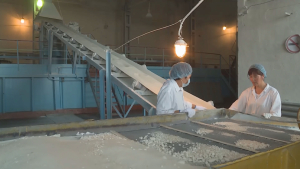 Сахарные заводы области Жетысу должны наладить выпуск сахара