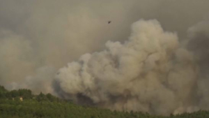 Лесной пожар парализовал движение через пролив Дарданеллы