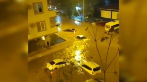 Жертвами наводнения в Турции стали 9 человек