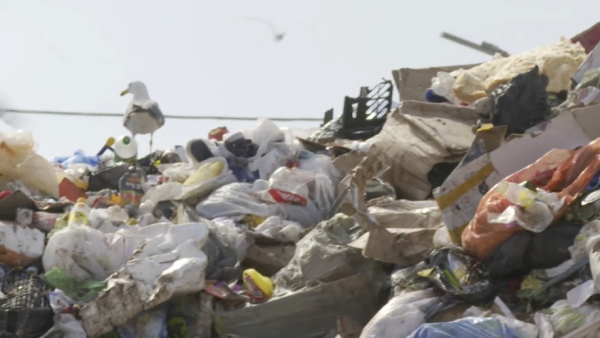 Только 21% мусорных полигонов соответствует эконормам