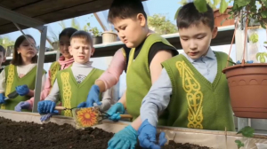 Воспитанники экошколы Павлодара посадили экзотические растения