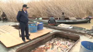 «Бекіре –2024»: 3,5 тыс. тонн рыбы конфисковали у браконьеров