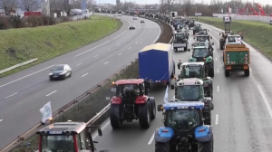 Фермеры бастуют во всей Франции