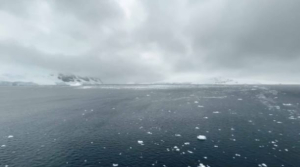 Мировой океан нагрелся до рекордных температур
