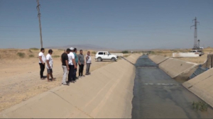 Түркістан облысында канал суы ластанып кетті