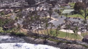 Число жертв природных пожаров на Гавайях достигло 93