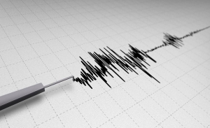 Землетрясение зарегистрировано в 416 километрах от Алматы