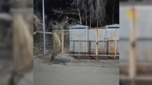Павлодар облысында 40 ауыл жарықсыз қалды