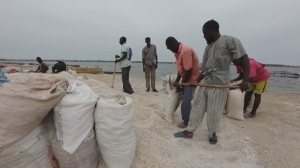 Сенегалдағы Ретба көлінде балық қырылып жатыр