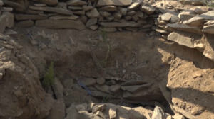 Древние курганы Жарминского района области Абай нуждаются в охране