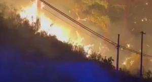 Лесной пожар бушует на Сицилии: есть жертвы