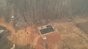 В Чили 26 человек погибли из-за лесных пожаров