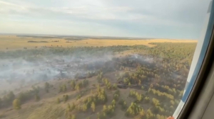 Грозы стали причиной лесных пожаров в области Абай