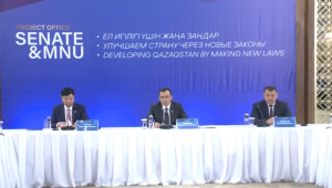 Ашимбаев: Нам нужны законы новой формации