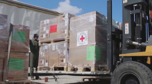 Красный Крест доставил первую партию гумпомощи в Судан