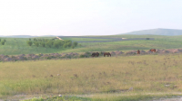 Түркістан облысында 18 мың гектар жер қайтарылады