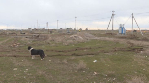 Контроль за распределением земельных участков усилили в Шымкенте