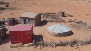 ﻿Засуха унесла жизни 43 тысяч человек в Сомали
