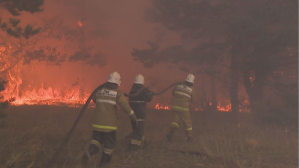 146 лесных пожаров зарегистрировали в Казахстане