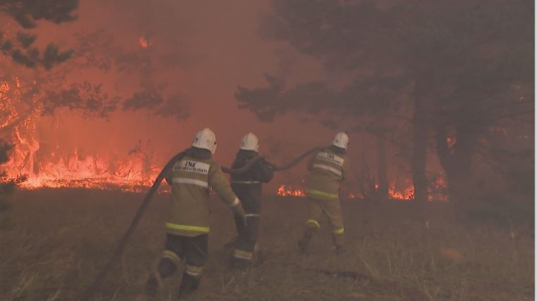 146 лесных пожаров зарегистрировали в Казахстане
