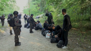 Сербия усилила миграционный патруль на границе с Венгрией