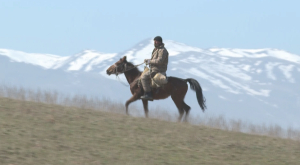 Неиспользуемые сельхознаделы возвращают государству в Алматинской области