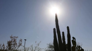 Аризона столкнулась с самым засушливым летом в истории