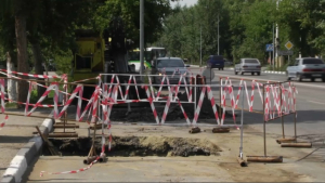 Башкирские сосны выкопали из-за ремонта водопровода в Костанае