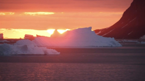 Гренландия теряет свои шельфовые ледники – учёные
