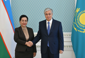 Глава государства принял председателя Сената Республики Узбекистан
