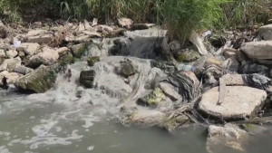 Правительство и активисты начинают очистку реки Тигр в Ираке