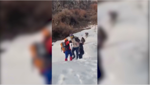 Лавина обрушилась на туристов в горах близ Алматы