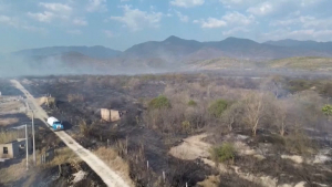 Лесные пожары бушуют в Мексике