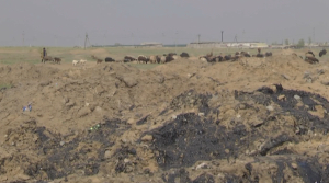 Незаконное хранение отходов с битумом: в Павлодарской области бьют тревогу