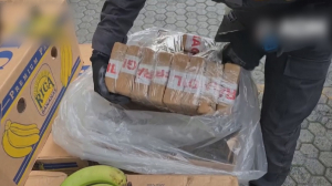 В контейнерах с фруктами нашли кокаин на 800 млн долларов