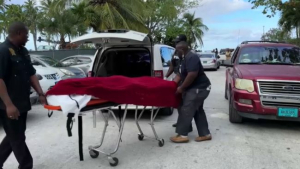Женщина погибла от укуса акулы на Багамских островах
