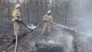Борьба за лес: огнеборцы стараются спасти реликтовый сосновый бор