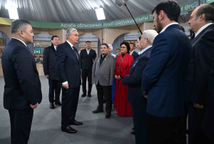 Президент ознакомился с реализацией программы «Ауыл аманаты» в Актюбинской области