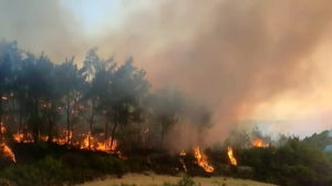 Лесные пожары вспыхнули недалеко от города Латакия в Сирии
