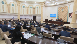 Доступ казахстанцев к современным энергоисточникам обсудили в Сенате