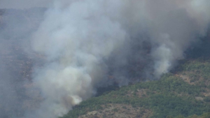 Лесной пожар в Греции стал крупнейшим в истории Европы