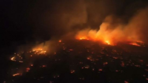 Лесные пожары на Гавайях: больницы переполнены