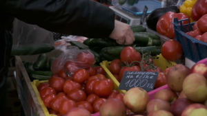 Как изменились цены на продовольственные товары в Павлодарской области