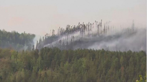 Сотни жителей покинули свои дома из-за угрозы пожаров в Канаде