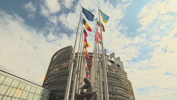 Европарламент ратифицировал Стамбульскую конвенцию