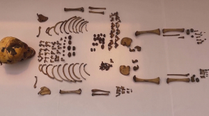 Древнюю мумию обнаружили при монтаже газовых труб в Лиме