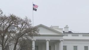 Белый дом потребовал от федеральных агентств удалить TikTok