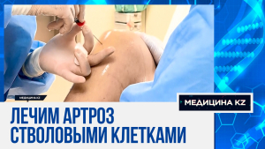 SVF-терапия: как в Казахстане лечат суставы стволовыми клетками, получаемые из жировой ткани